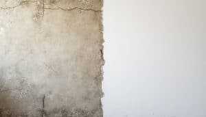 découvrez comment la peinture mate peut dissimuler efficacement les imperfections des murs anciens, offrant une finition élégante et uniforme à votre intérieur.